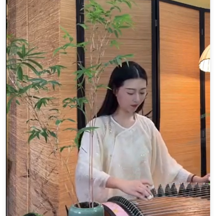 陈姣--古筝演奏